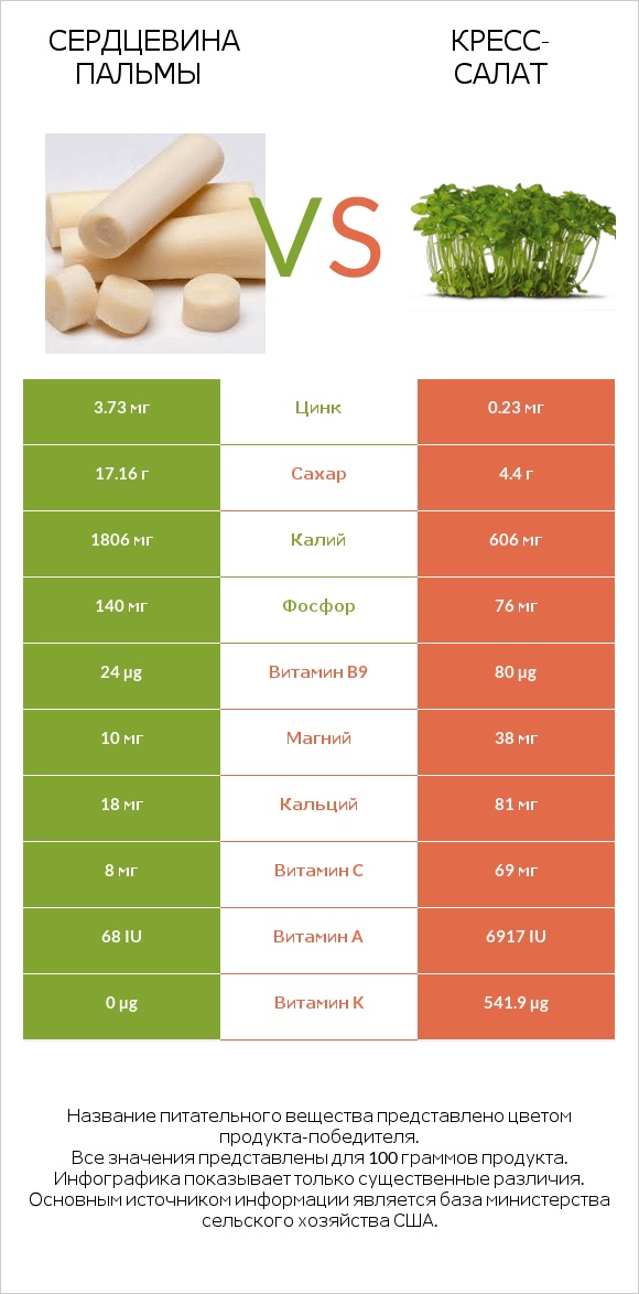 Сердцевина пальмы vs Кресс-салат infographic