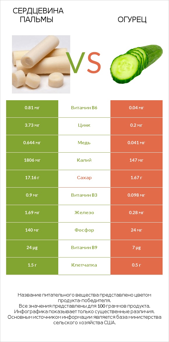 Сердцевина пальмы vs Огурец infographic