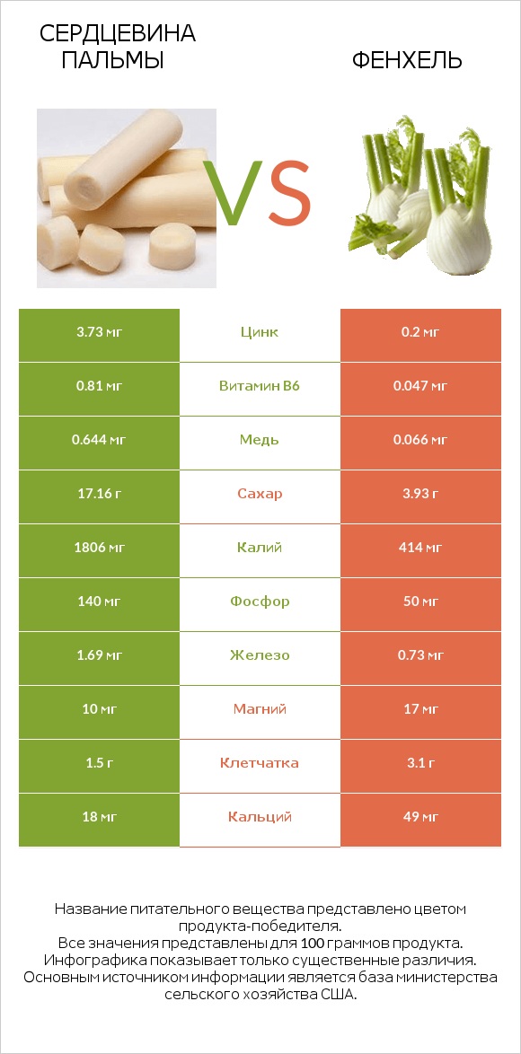 Сердцевина пальмы vs Фенхель infographic