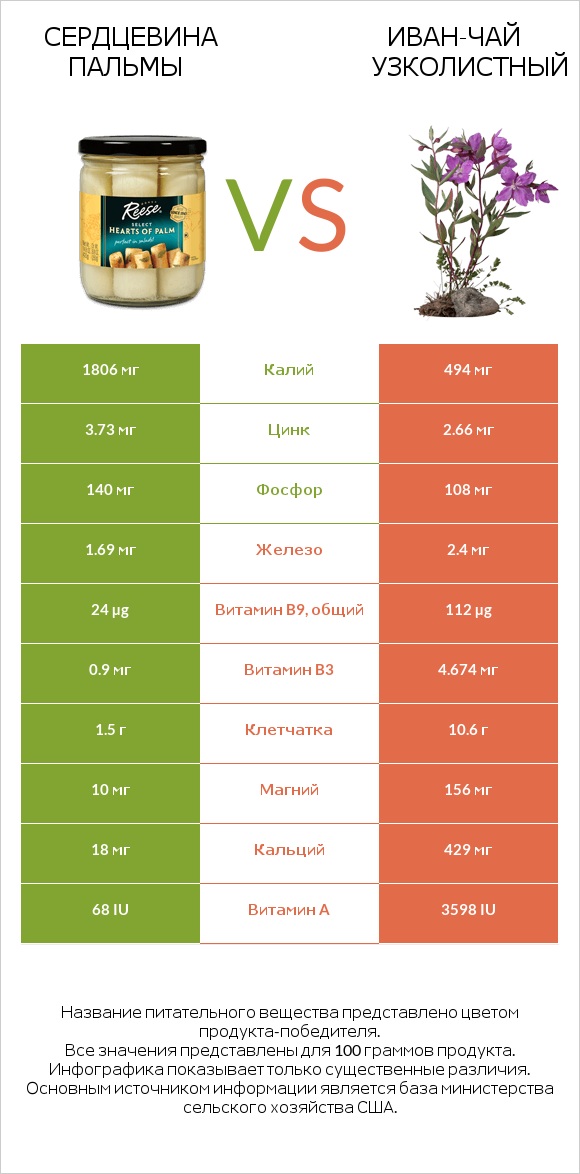 Сердцевина пальмы vs Иван-чай узколистный infographic
