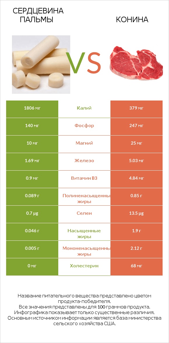Сердцевина пальмы vs Конина infographic