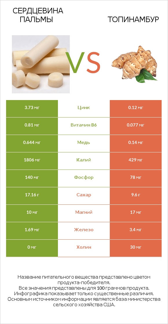 Сердцевина пальмы vs Топинамбур infographic