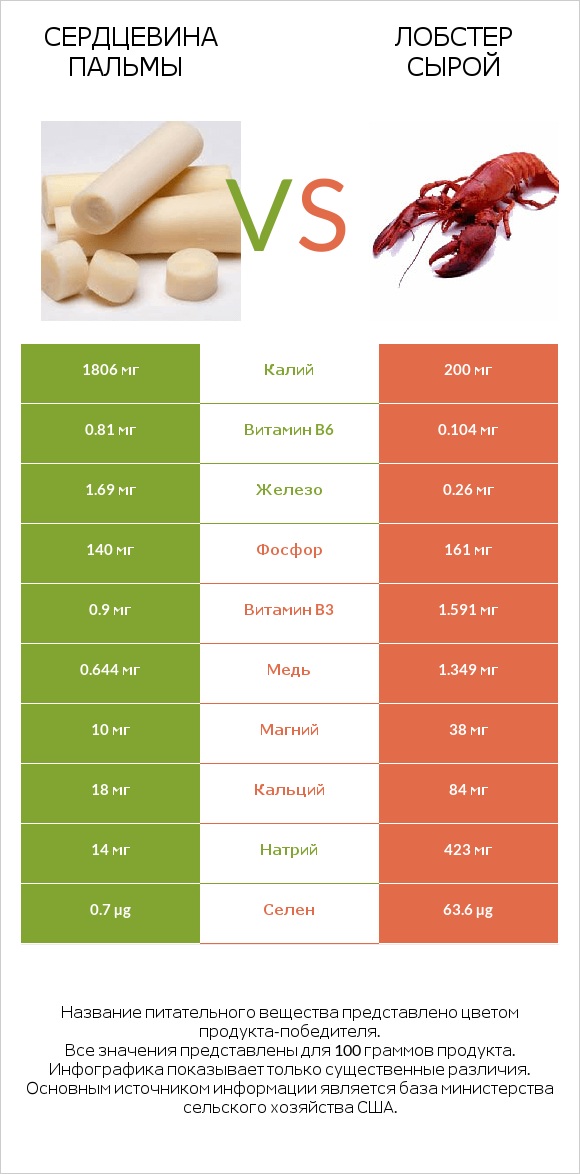 Сердцевина пальмы vs Лобстер сырой infographic