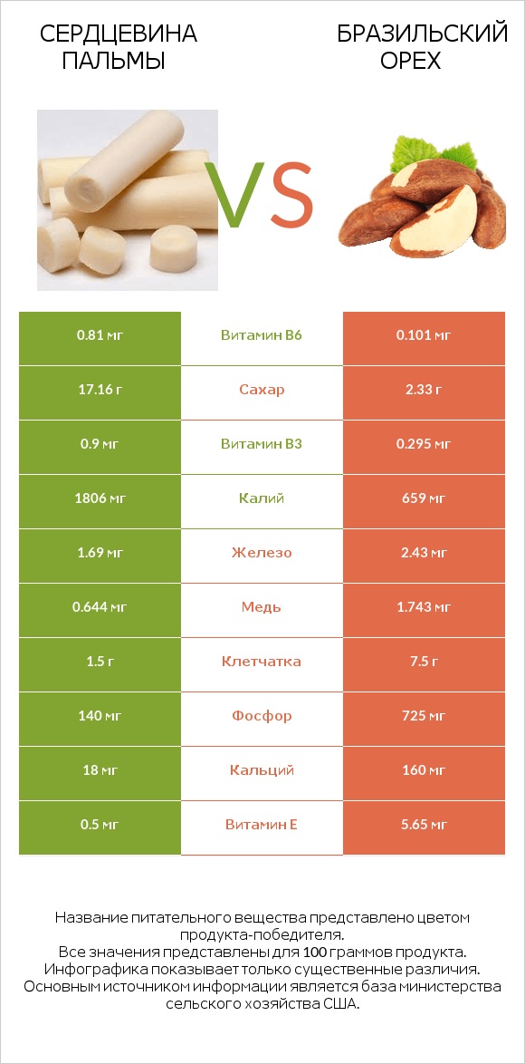 Сердцевина пальмы vs Бразильский орех infographic
