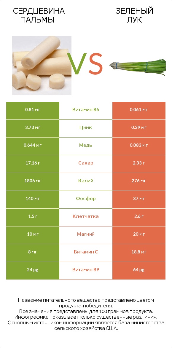 Сердцевина пальмы vs Зеленый лук infographic