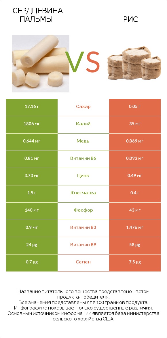 Сердцевина пальмы vs Рис infographic