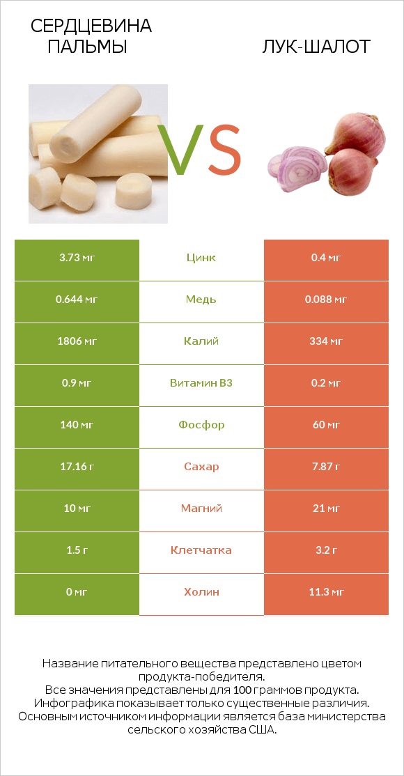 Сердцевина пальмы vs Лук-шалот infographic