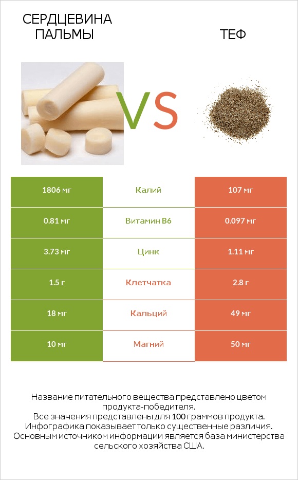 Сердцевина пальмы vs Теф infographic