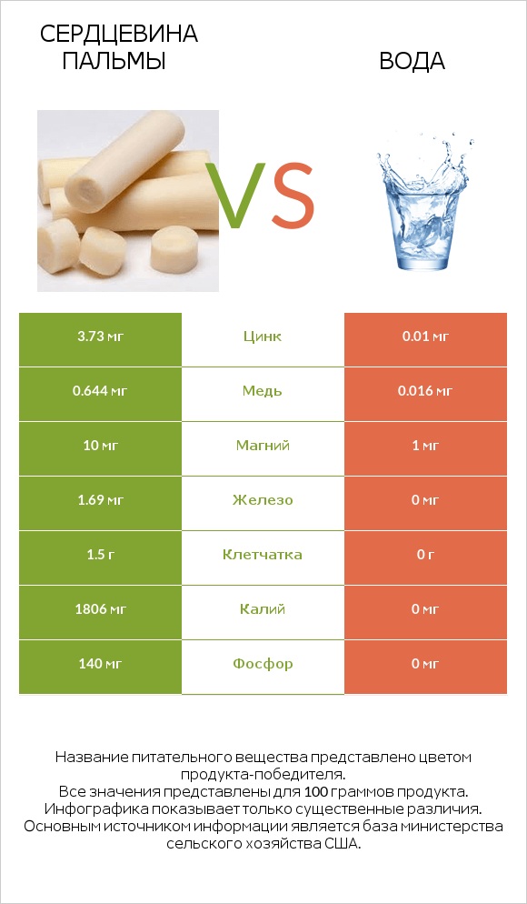 Сердцевина пальмы vs Вода infographic