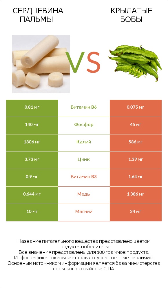 Сердцевина пальмы vs Крылатые бобы infographic
