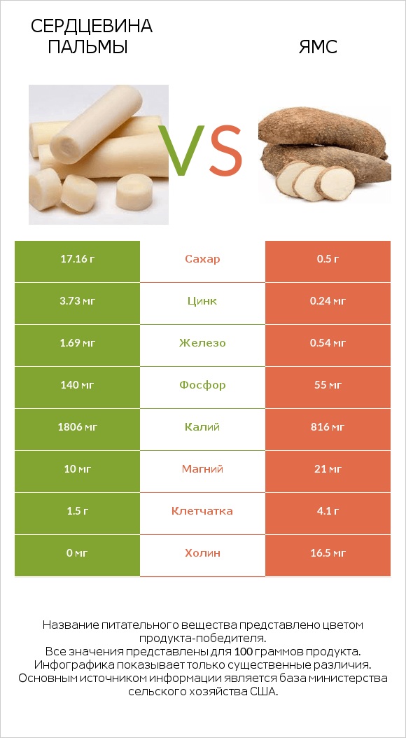 Сердцевина пальмы vs Ямс infographic