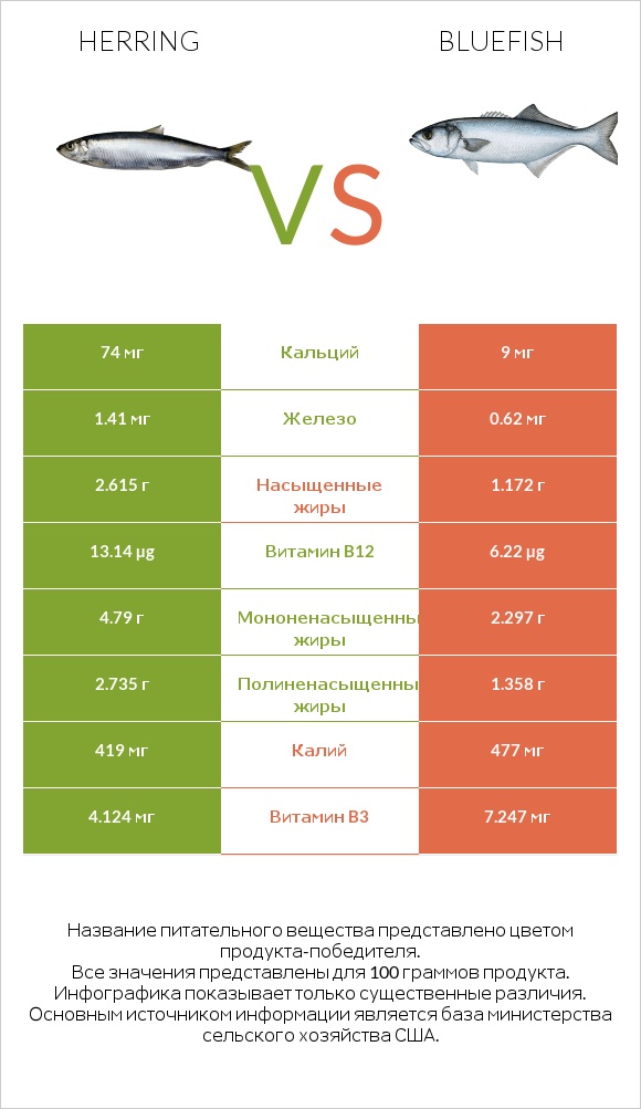 Herring vs Bluefish infographic