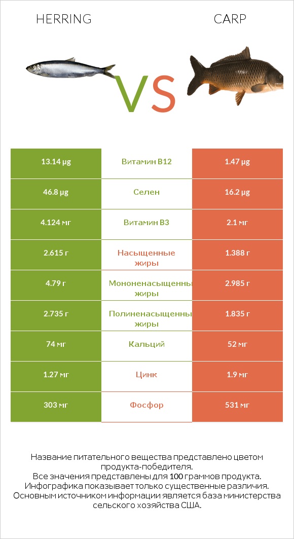 Herring vs Carp infographic