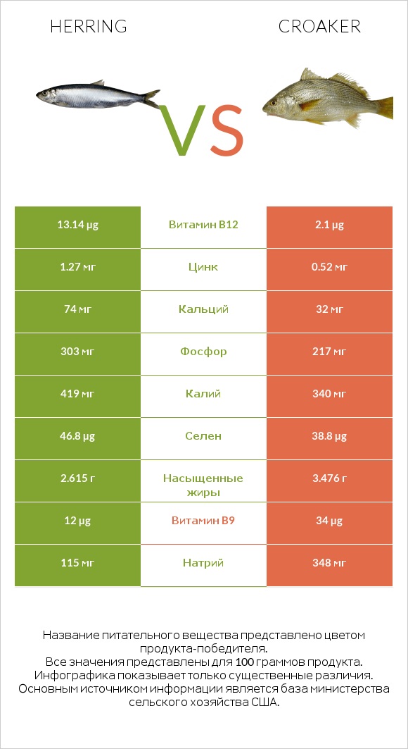 Herring vs Croaker infographic