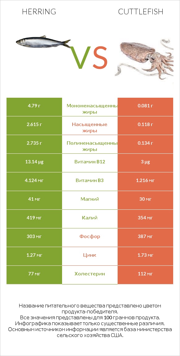 Herring vs Cuttlefish infographic