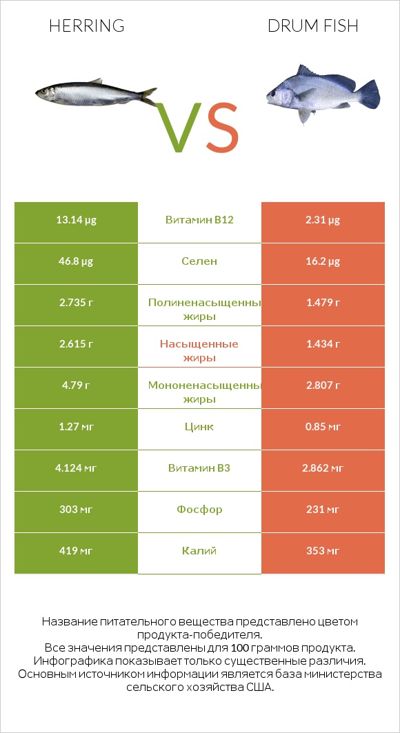 Herring vs Drum fish infographic