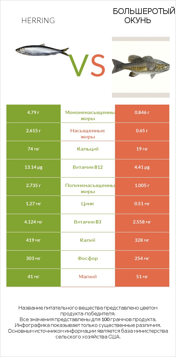 Herring vs Большеротый окунь infographic