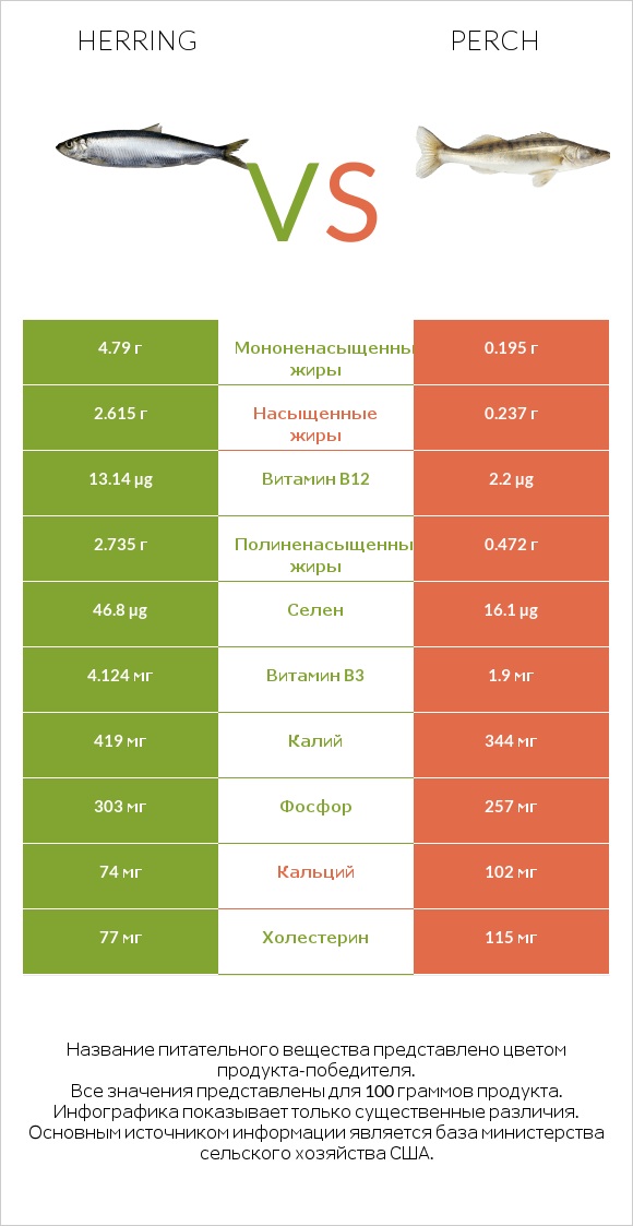 Herring vs Perch infographic