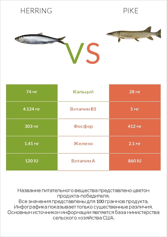 Herring vs Pike infographic