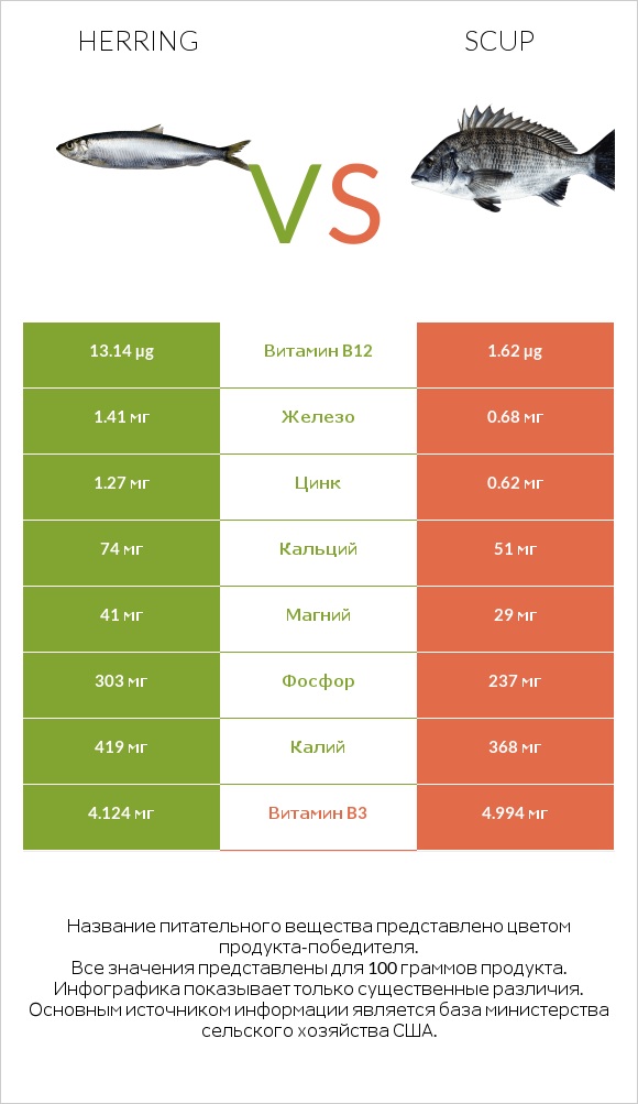 Herring vs Scup infographic