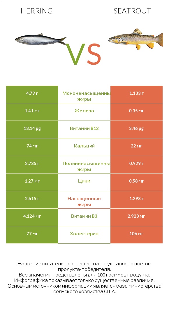 Herring vs Seatrout infographic