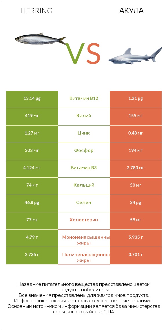 Herring vs Акула infographic