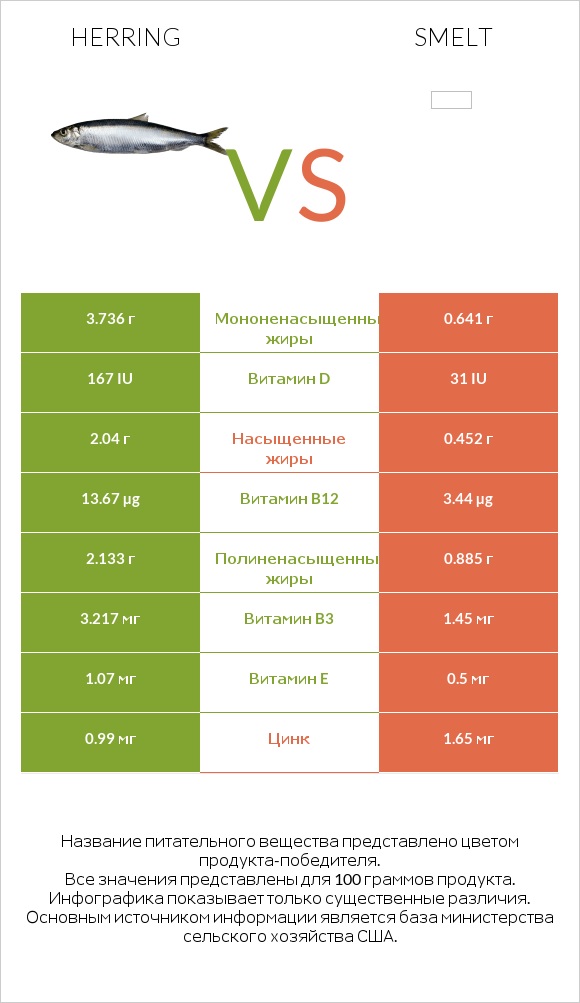 Herring vs Smelt infographic