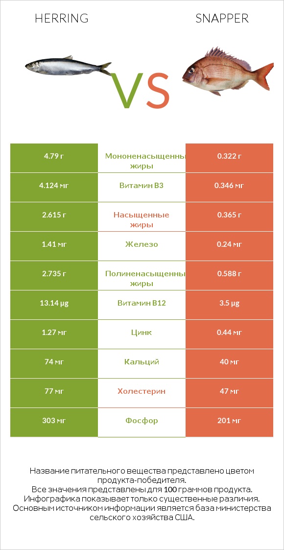 Herring vs Snapper infographic