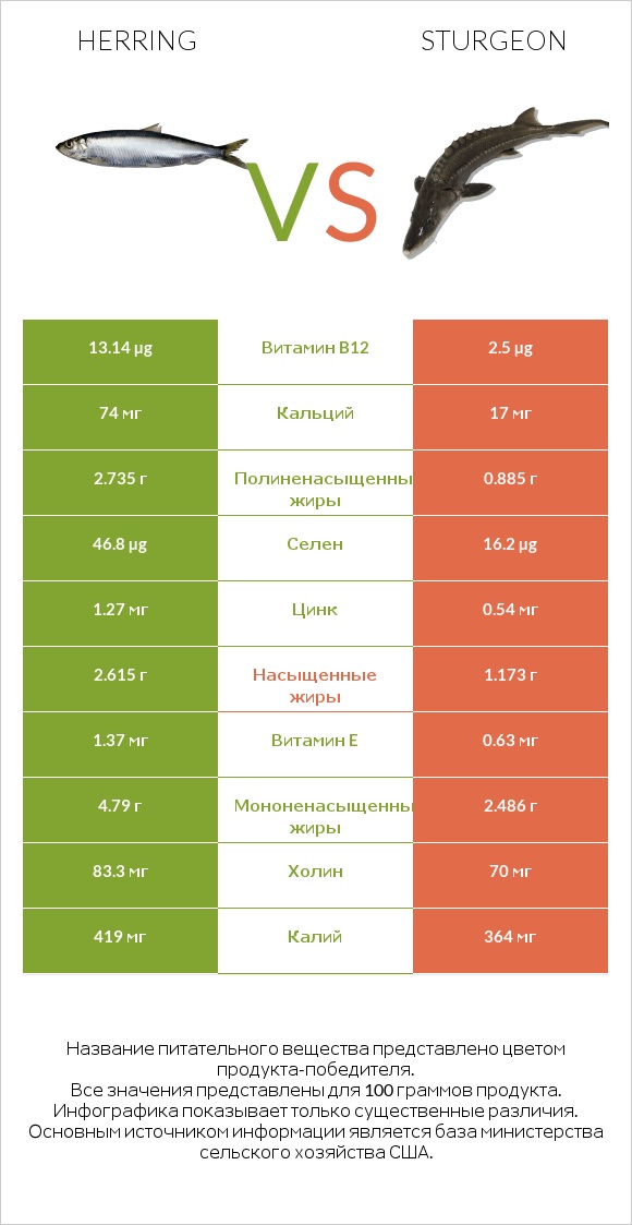 Herring vs Sturgeon infographic