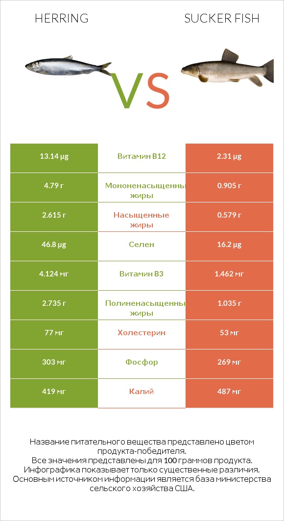 Herring vs Sucker fish infographic