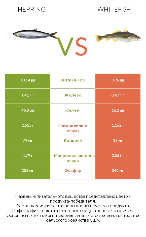 Herring vs Whitefish infographic