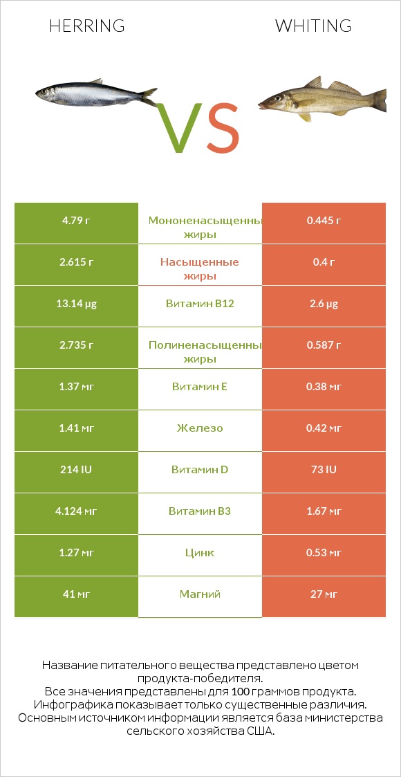 Herring vs Whiting infographic