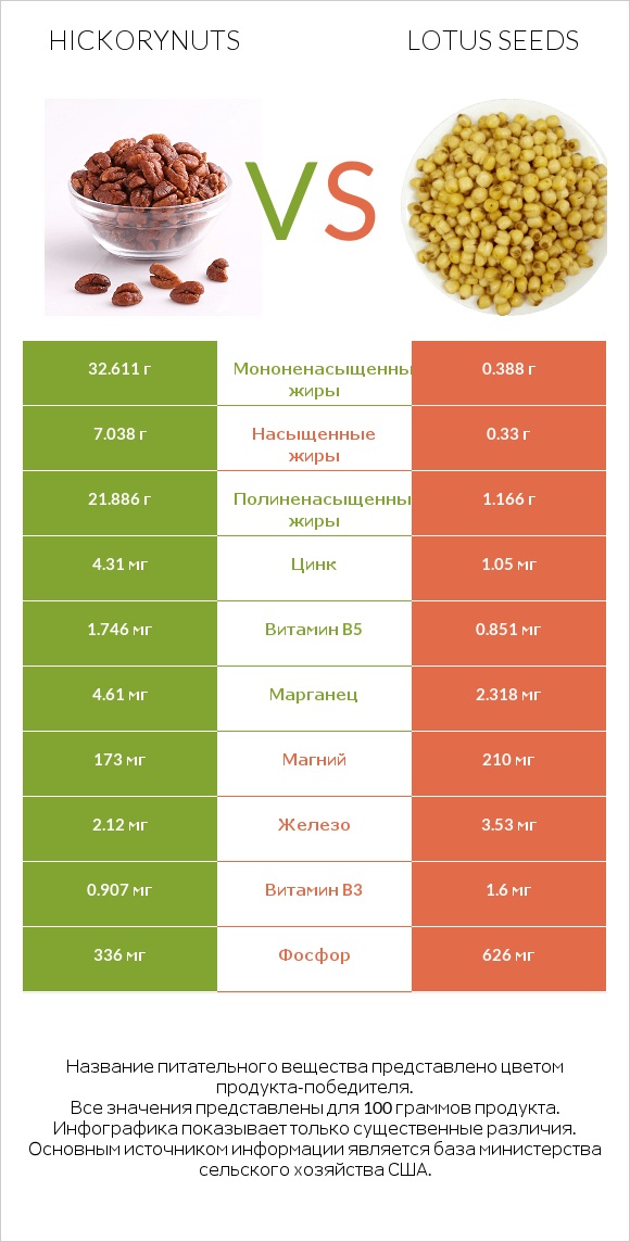 Hickorynuts vs Lotus seeds infographic