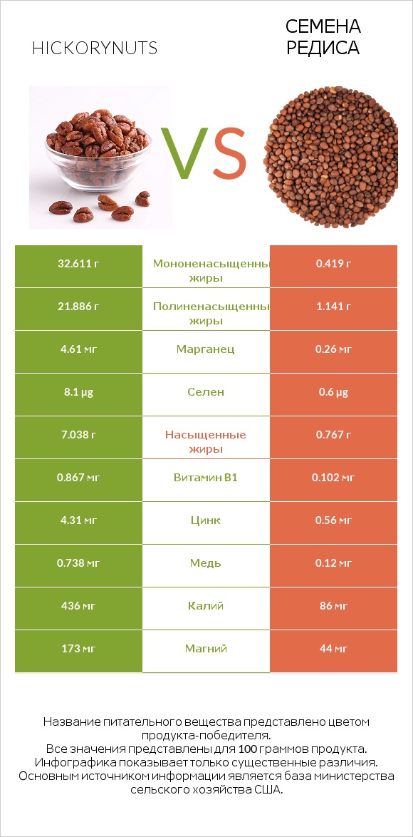 Hickorynuts vs Семена редиса infographic