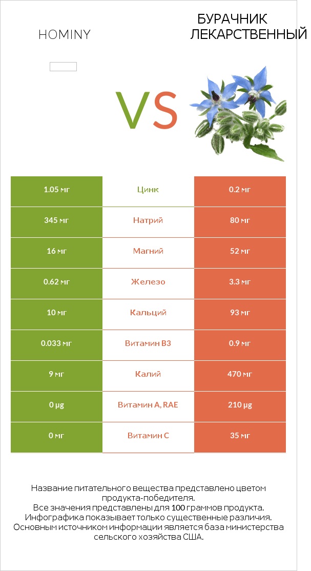 Hominy vs Бурачник лекарственный infographic