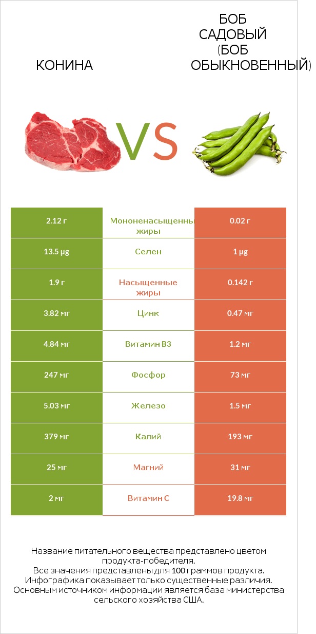 Конина vs Боб садовый (Боб обыкновенный) infographic