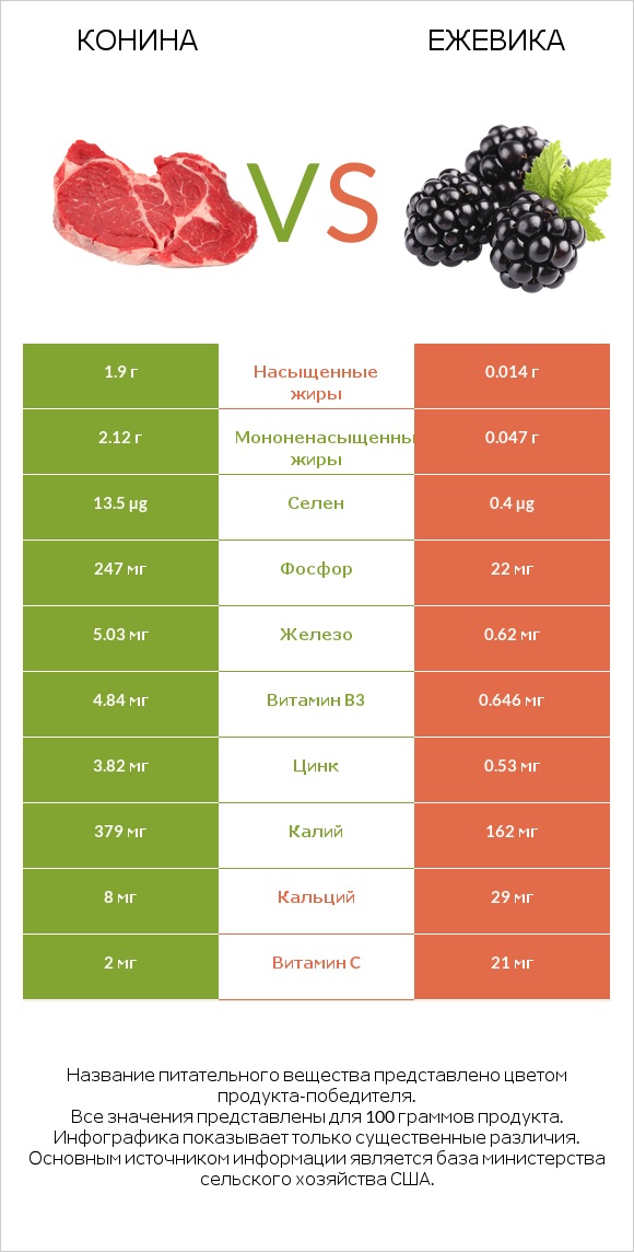 Конина vs Ежевика infographic