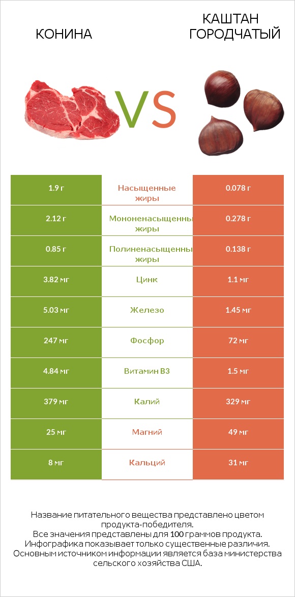 Конина vs Каштан городчатый infographic