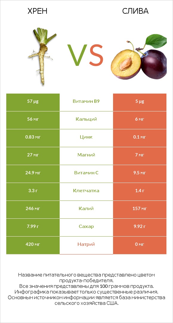 Хрен vs Слива infographic