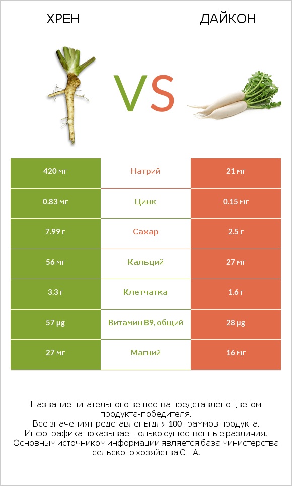 Хрен vs Дайкон infographic