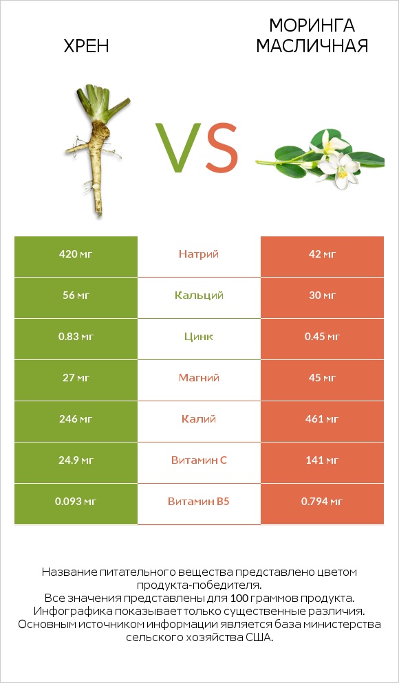 Хрен vs Моринга масличная infographic