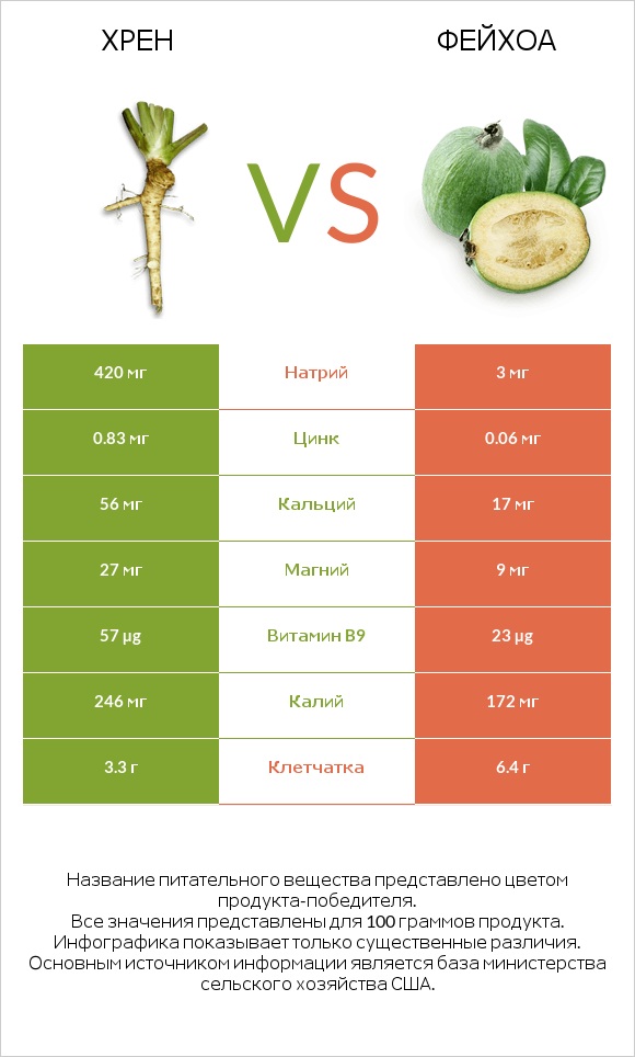 Хрен vs Фейхоа infographic