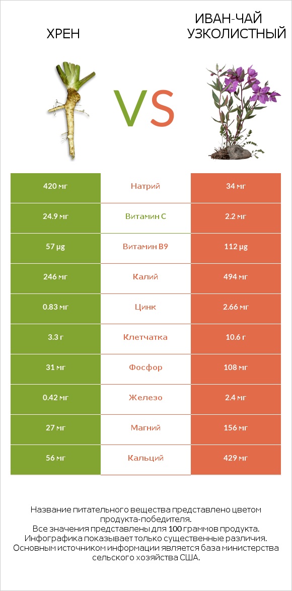 Хрен vs Иван-чай узколистный infographic