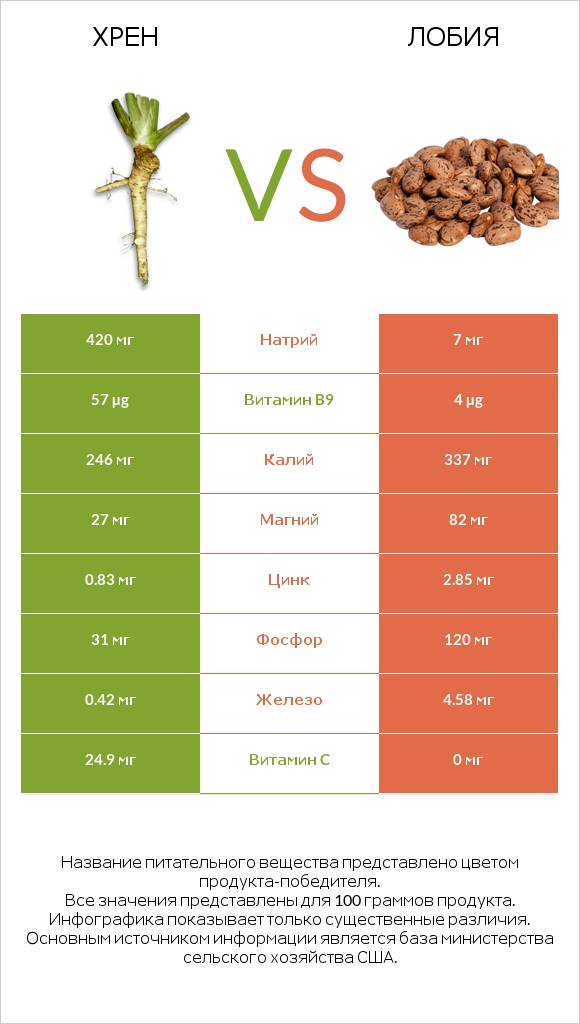 Хрен vs Лобия infographic