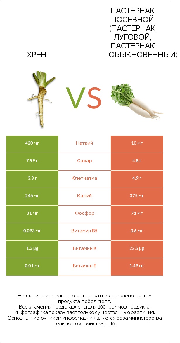 Хрен vs Пастернак посевной (Пастернак луговой, Пастернак обыкновенный) infographic