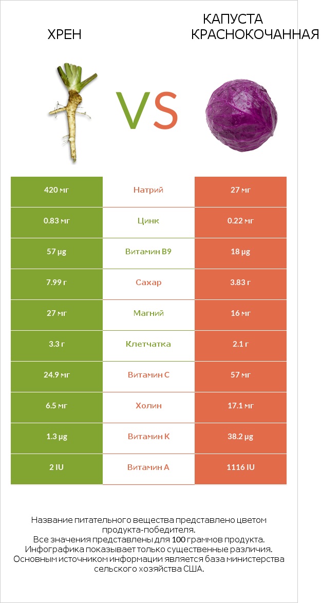 Хрен vs Капуста краснокочанная infographic