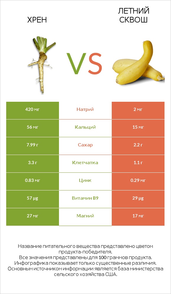 Хрен vs Летний сквош infographic
