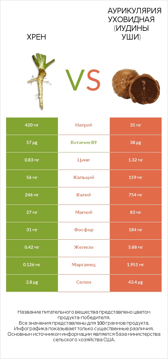 Хрен vs Аурикулярия уховидная (Иудины уши) infographic