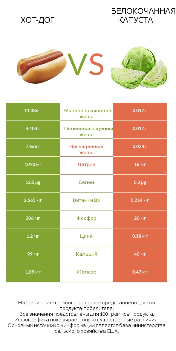 Хот-дог vs Белокочанная капуста infographic