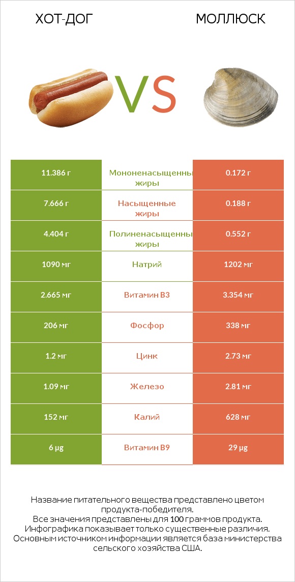 Хот-дог vs Моллюск infographic